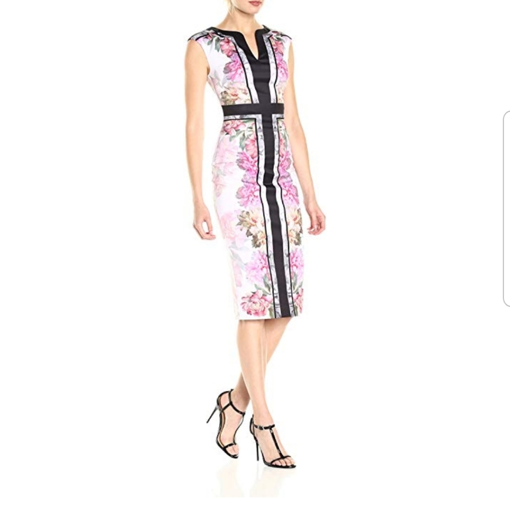 Ted Baker Shawnie Painted Posie Midi Dress L